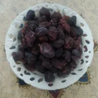 ارزانی|خوردنی و آشامیدنی|شیراز, فرگاز|دیوار