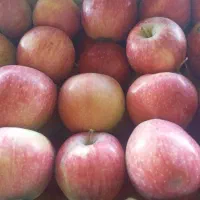حراج لوکس|حراج|کشکسرای, |دیوار