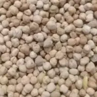 نخود درجه یک