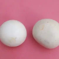 سنگ الماس اسیاب