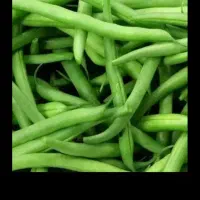 گارگر برای جمع آوری پیاز هویچ سیب زمینی