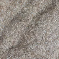 کاه خورد شده  درجه  یک سفید  برای گاو و شتر