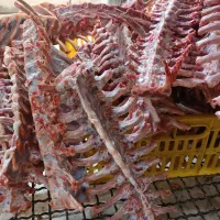 خس یا دنده سوپی