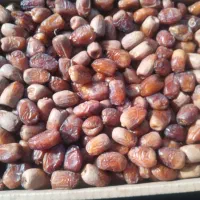 خرما پوپو|خوردنی و آشامیدنی|مهرستان, |دیوار