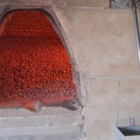 شاطر ونونواسون ریگی