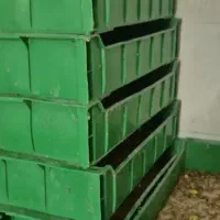 کرم میلورم