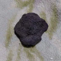 آزمایش شهاب سنگ
