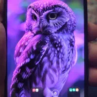 POCO X5 pro 5G|موبایل|تهران, وصفنارد|دیوار