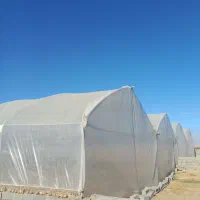 گلخانه|اجارهٔ دفتر صنعتی، کشاورزی، تجاری|مشهد, اسماعیل آباد|دیوار