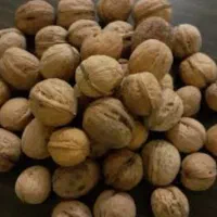 گردوی خوانسار