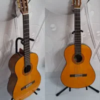 گیتار نو