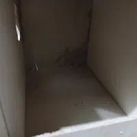 باکس عروس هلندی وطوطی و نردبان عروس هلندی وطوطی