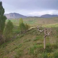 باغ بزرگ به متراژ ۴ هکتار شخصی در دامنه طبیعت