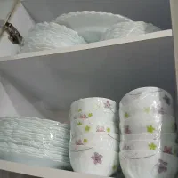 ارکوپال  و چینی