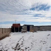 گاوداری. برق. سه فاز7هکتارصنعتی