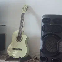 معاوضه گیتار حرفه ای با سنتور