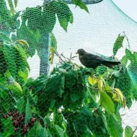 توری ضد پرنده تنها تولیدکننده واقعی ضدپرنده تورینه