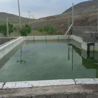 هلو شلیل بادام گیلاس|حراج|خوی, |دیوار