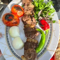 استخدام. منقل دار . کباب پیچ .نیرو ساده .صندوق دار