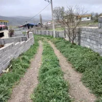 زمین واقع در منطقه کجور،چناربن