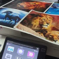 چاپ و تکثیر چاپخانه فاطمی|خدمات رایانهای و موبایل|نوشین شهر, |دیوار