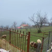 زمین در بره پشت ۲۰۰ متر معاوضه با ماشینم دارم|فروش زمین و ملک کلنگی|تالش, تالش|دیوار