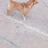 سلام یک عددپاکوتاه نردرهشترود