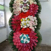 انوا تاج گل برای افتتاحی