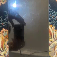 تبلت|تبلت|هشتگرد, شهرک ایران خودرو|دیوار