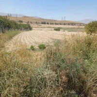 زمین-کشاورزی-مخصوص-باغ-ویلا-در-روستایی-چغادون