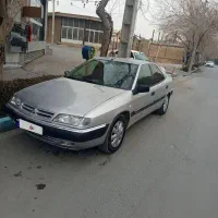 زانتیا84