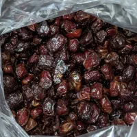 محصولات جنوب|خوردنی و آشامیدنی|محمدشهر, شهرک چمران|دیوار