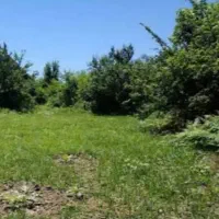 زمین فوق آینده دار