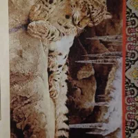 دارقالی با نخ ونقشه وابزار