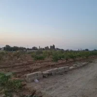زمین۳۵۰ متری چسب بافت سهیلیه زعفرانیه اقبالیه|فروش زمین و ملک کلنگی|کرج, گلشهر|دیوار