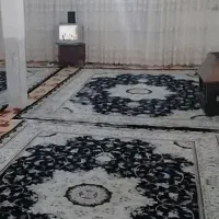 همخونه منزل مطمئن                    و بی حاشیه|اجارهٔ آپارتمان|تهران, ترمینال غرب|دیوار