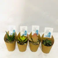 هدیه ویژه اعتکاف