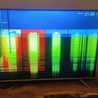 تلویزیون کار کرده