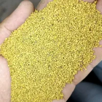 بذر قره یونجه اصلاح شده تمام 99٪