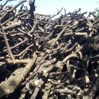 خریدار چوب مرکبات