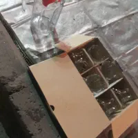 یک دست پارچ و لیوان