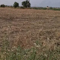 ۳۵۰۰ متر زمین کشاورزی و حاصل خیز در محدودشهری