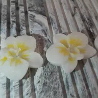 شمع ارکیده|صنایع دستی و سایر لوازم تزئینی|تهران, مجیدیه|دیوار