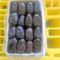 مضافتی کرمان