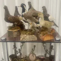 مجسمه و ماکت طبیعی تزیینی
