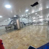 سیب زمینی فرنچ فرایز چکی