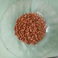 پخش عمده وخرده حبوبات با قیمتهای مناسب|عمدهفروشی|پاکدشت, خاتون آباد|دیوار