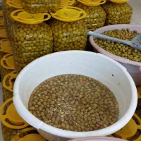 زیتون بی هسته، کبابی، با هسته، دبه ای، کیلویی