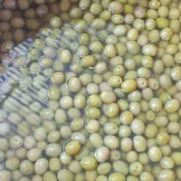 زیتون کنسروی امساله طارم(اعلاء)|خوردنی و آشامیدنی|طارم, |دیوار