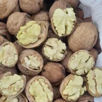 گردوی سفیدمغز درجه یک